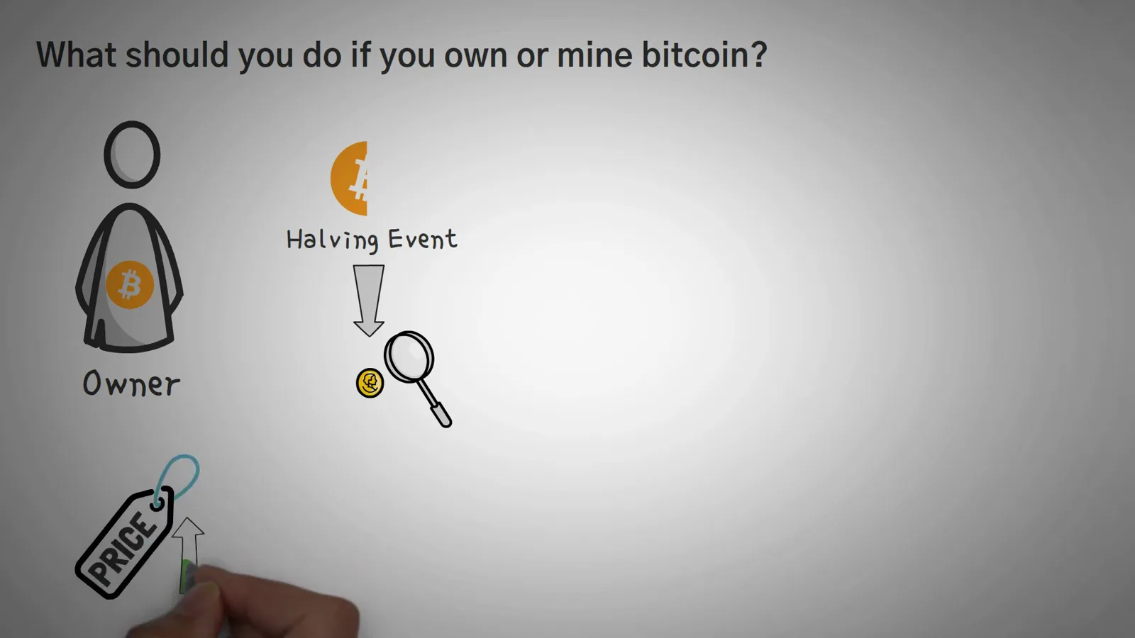 Bitcoin owner diagram with halving event and rising price tag showing what a halving means for long-term holders Bitcoin owner diagram with halving event and rising price tag showing what a halving means for long-term holders