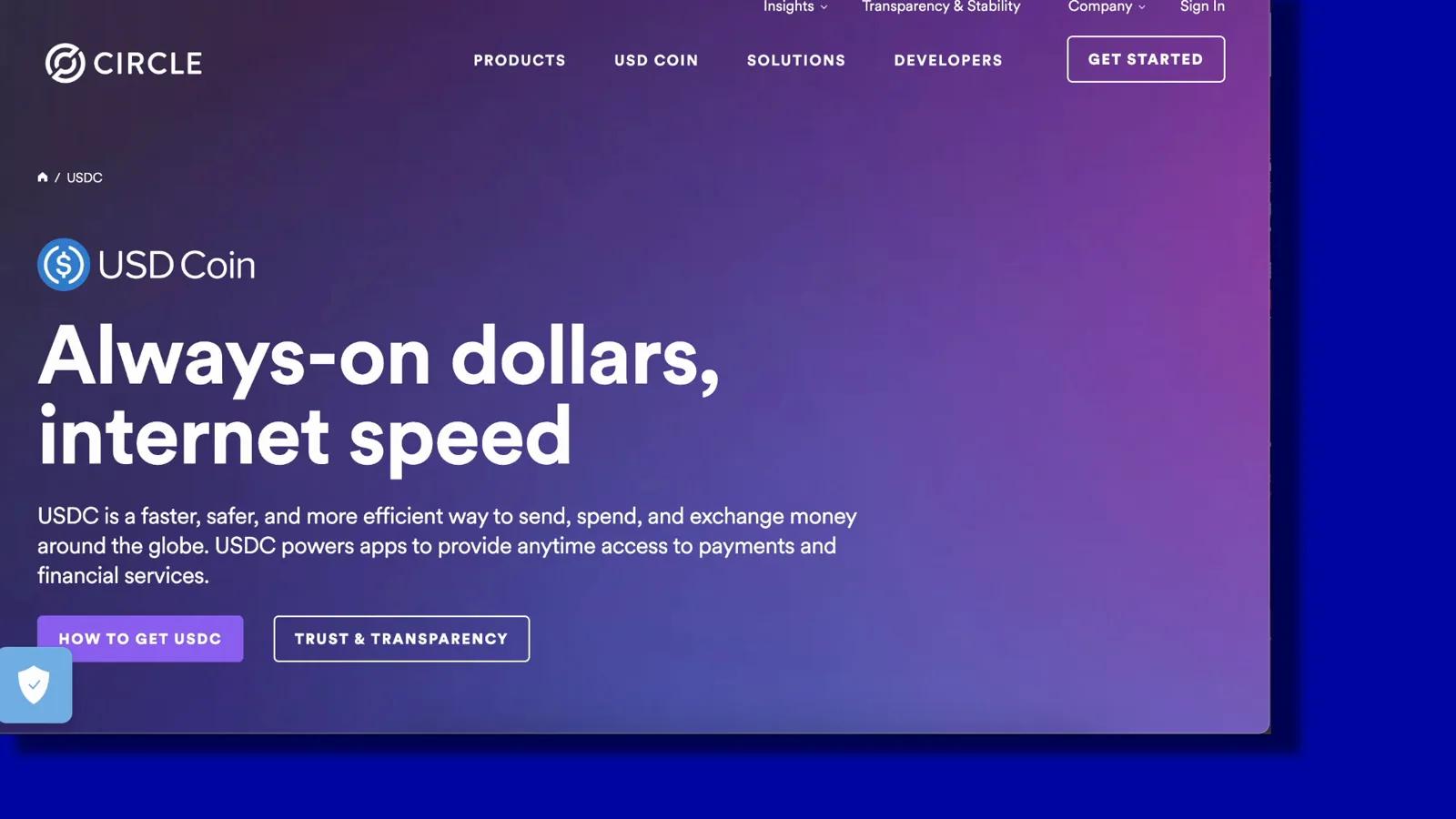 Circle's website introducing the USD Coin stablecoin with the tagline Always-on dollars, internet speed Circle's website introducing the USD Coin stablecoin with the tagline Always-on dollars, internet speed